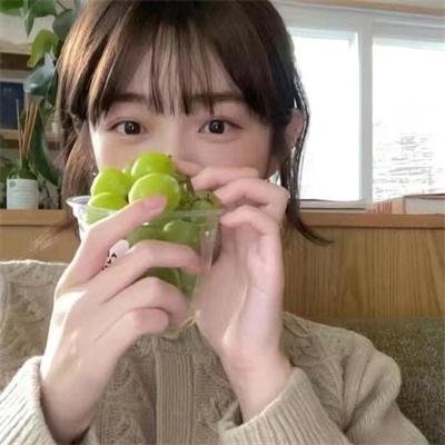 爱情手册2封面