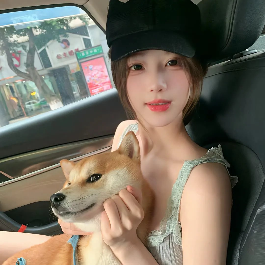 危机中的女人封面